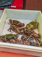 zeevruchten levende krabben schelpdieren schaaldieren thaise markt china stad bangkok. foto