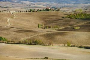 herfst in italië. gele geploegde heuvels van Toscane met interessante schaduwen en lijnen foto