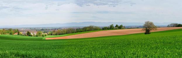 kruispunt van asfaltwegen in een schone vloer. groen gras en verkeersborden foto