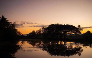 silhouet van bomen aan het water in de ochtend als de zon opkomt. een grote boom op de achtergrond is een opkomende lucht in de ochtendzon. foto