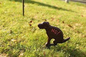 grappige hond wandelen verboden bord op het gras foto