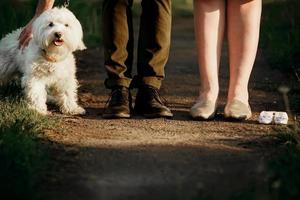 bijgesneden afbeelding van romantisch koppel is op een wandeling in het park met hun hond. mooie jonge vrouw en knappe man hebben plezier buitenshuis met witte leuke hond. foto