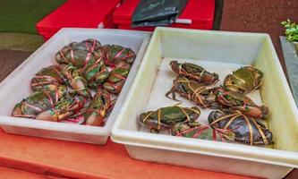 zeevruchten levende krabben schelpdieren schaaldieren thaise markt china stad bangkok. foto