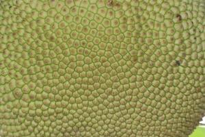 close-up van een jackfruit foto