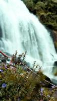 foto van waterval in de natuur