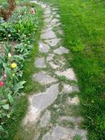 lentetuin met bloemen. een klein pad dat langs hen leidt. foto