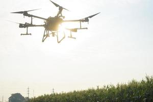 jonge slimme boer die drones bestuurt die kunstmest en pesticiden over landbouwgrond sproeien, geavanceerde technologische innovaties en slimme landbouw foto