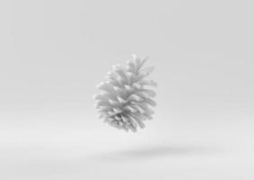 witte dennenappel drijvend op een witte achtergrond. minimaal concept idee creatief. monochroom. 3D render. foto