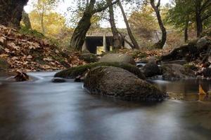 gevallen bladeren in de rotsachtige waterval. de rotsachtige kreek mondt uit in de langs de rivier. brug in het bos. prachtig bos- en rivierlandschap. foto