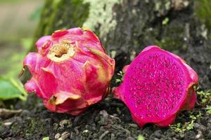 vers rood drakenfruit op houten tafel foto