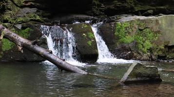 watervallen in een kleine kloof met stenen muren. mooie waterval in de bergen. rivier in de karpaten in het herfstbos van de berg. schilderachtig uitzicht, de beweging van water. foto