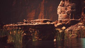 Colorado rivier snijdt door rots bij Grand Canyon foto