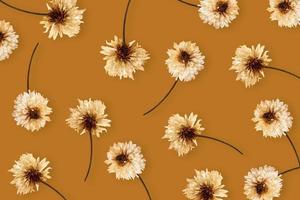 herfst creatieve compositie. patroon gemaakt van gedroogde bloemen op beige achtergrond. foto