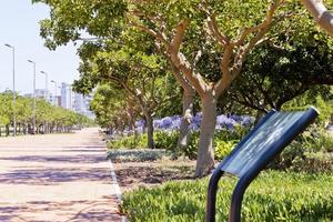 toegangspad naar green point park, kaapstad, oostelijke poort. foto