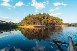 natuur meer en bos camping locatie foto