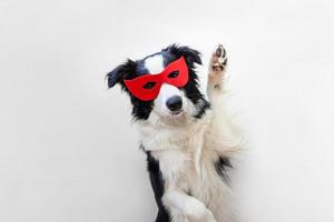 grappige studio portret van schattige lachende hond border collie in superheld kostuum geïsoleerd op een witte achtergrond. puppy met rood superheldenmasker in carnaval of halloween. rechtvaardigheid help kracht concept. foto