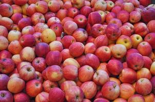 appels fruit in krat op een marktplank foto