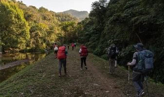 noorden, thailand, 8 jan 2022 - groep mensen wandelen in de bergen