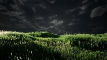 onweerswolken boven weide met groen gras foto