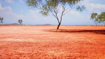 droogte land zonder water foto