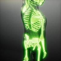 transparant menselijk lichaam met zichtbare botten foto