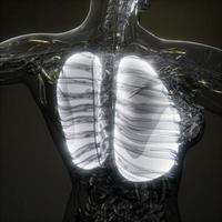 menselijke longen radiologie examen foto