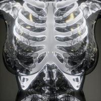 transparant menselijk lichaam met zichtbare botten foto