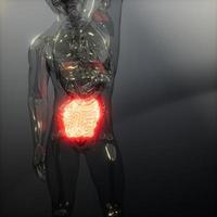 menselijke dunne darm radiologie examen foto