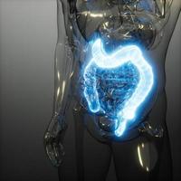 menselijke colon radiologie examen foto
