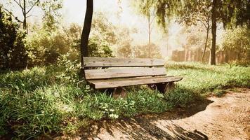 houten bankje in de natuur bij de boom foto