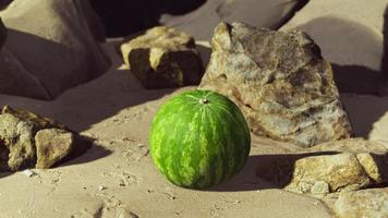 verse watermeloen op een prachtig zandstrand foto