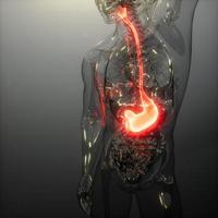 menselijke maag radiologie examen foto