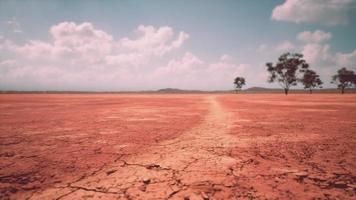gebarsten grond droog land tijdens het droge seizoen foto