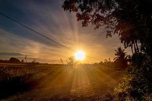 panorama van schilderachtige zonsondergang met zonnestralen, silhouet van struiken en bomen foto