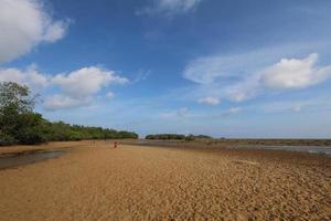 zeetij bij mangrovebossen in indonesië foto