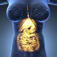 wetenschap anatomie van het lichaam van de vrouw met gloed spijsverteringsstelsel foto