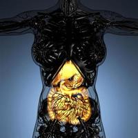 wetenschap anatomie van het lichaam van de vrouw met gloed spijsverteringsstelsel foto
