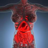 wetenschap anatomie van het lichaam van de vrouw met gloed spijsverteringsstelsel foto
