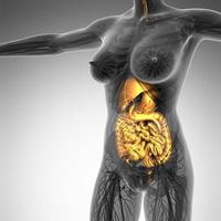 wetenschap anatomie van het menselijk lichaam in x-ray met gloed spijsverteringsstelsel foto