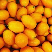 macro foto citrus sinaasappelen vruchten. stock photo oranje citrusvruchten achtergrond