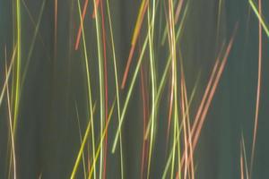 abstractie van het licht van slingers. matte achtergrond. foto