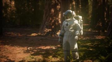 eenzame astronaut in donker bos foto