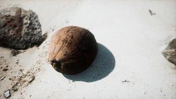 bruine kokosnoot op het strandzand foto