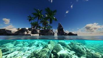 gesplitste weergave dwarsdoorsnede van zeewater en palmbomen op het eiland foto