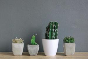 vetplanten en cactusplanten in potten op houten tafel met grijze achtergrond. foto