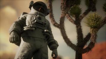 astronaut in de hoge woestijn van Nevada foto