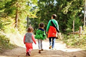 achterkant van drie kinderen lopen op houten bergen. familie reizen en wandelen met kinderen. foto