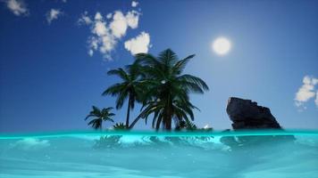gesplitste weergave dwarsdoorsnede van zeewater en palmbomen op het eiland foto