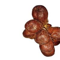 salak fruit, een tropisch fruit uit indonesië foto