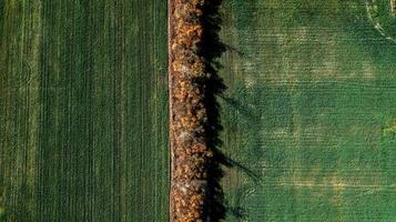 landbouwvelden van bovenaf foto